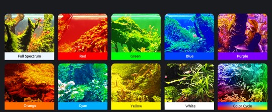 Fullgain Професійний LED світильник для акваріума 120-138 см( 84 Вт), програмований WRGB з таймером - Зображення 7